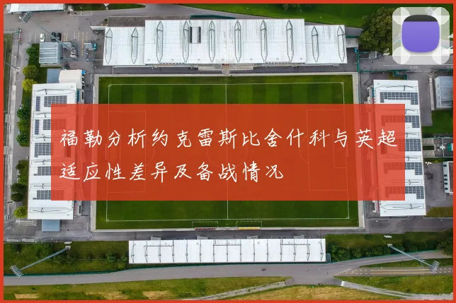 福勒分析约克雷斯比舍什科与英超适应性差异及备战情况