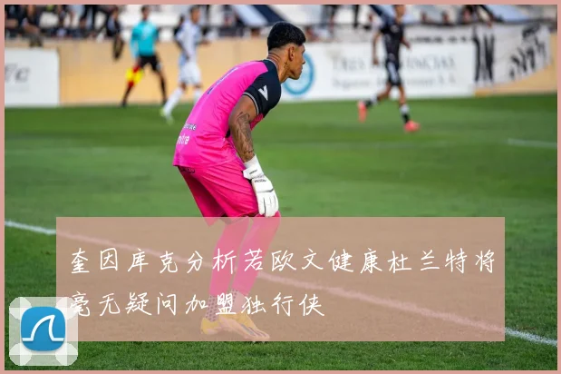 奎因库克分析若欧文健康杜兰特将毫无疑问加盟独行侠