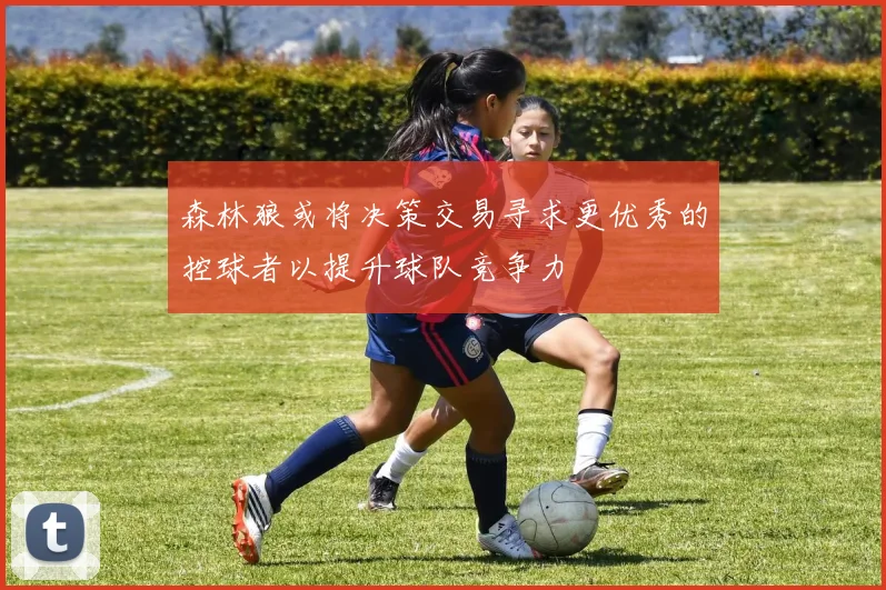 森林狼或将决策交易寻求更优秀的控球者以提升球队竞争力