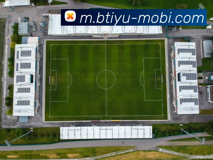 多媒体互动体验